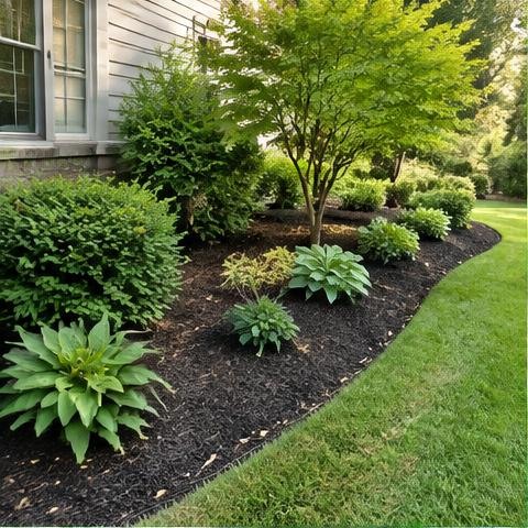 Example of mulching